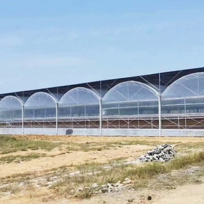 连栋温室大棚是怎么进行除湿的