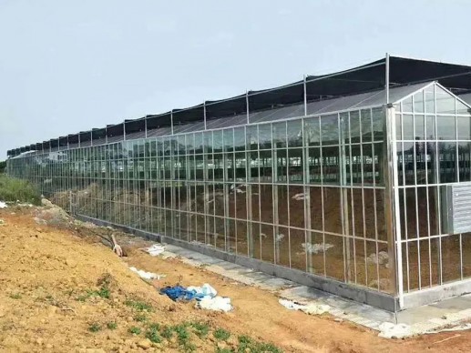 玻璃温室案例