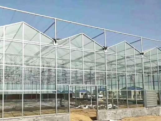 玻璃温室案例