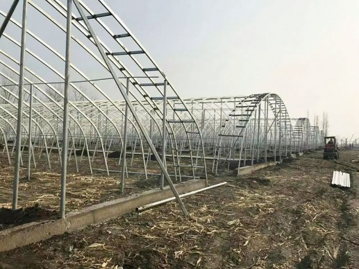 薄膜温室案例
