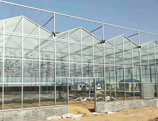 玻璃温室案例