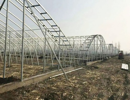 薄膜温室案例