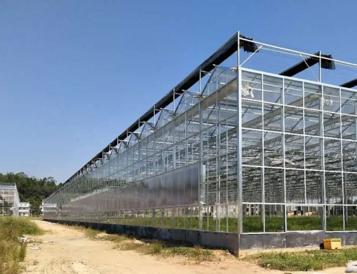 玻璃温室案例