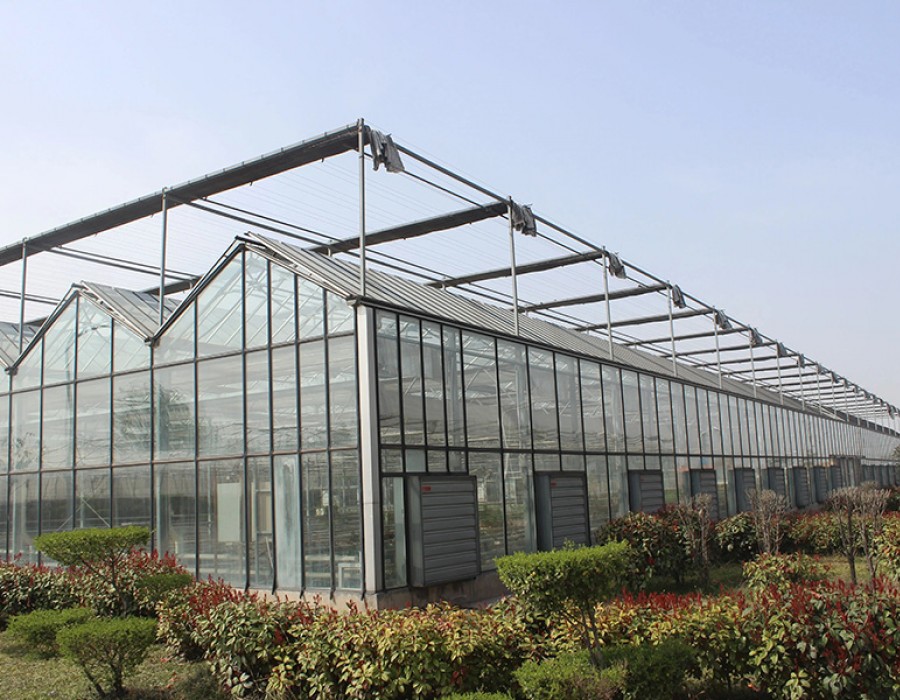 玻璃温室