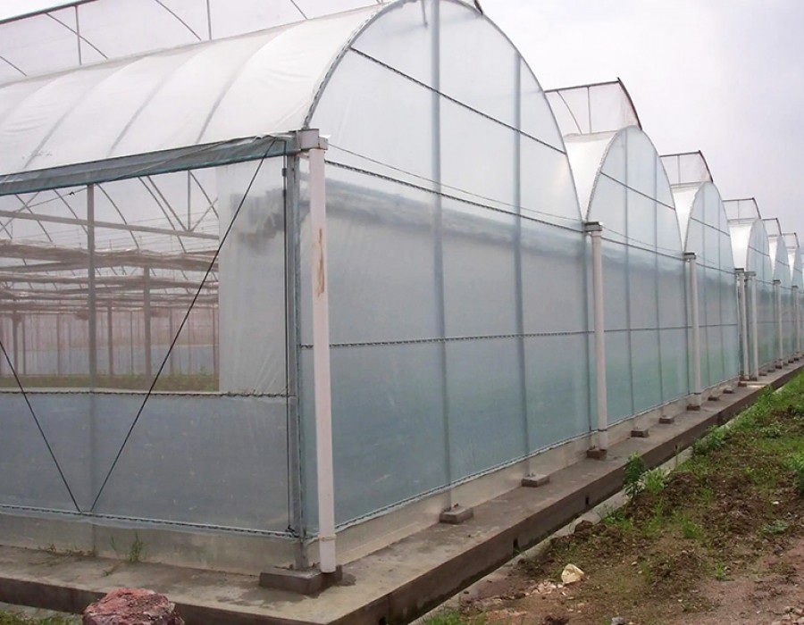 连栋温室