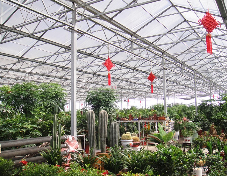 温室农业景观