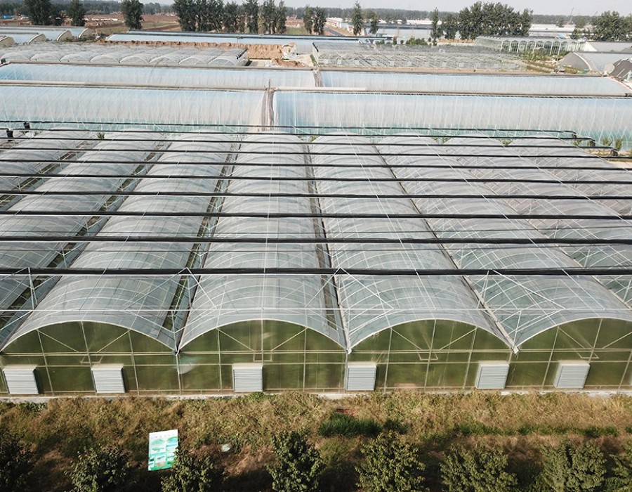 连栋温室