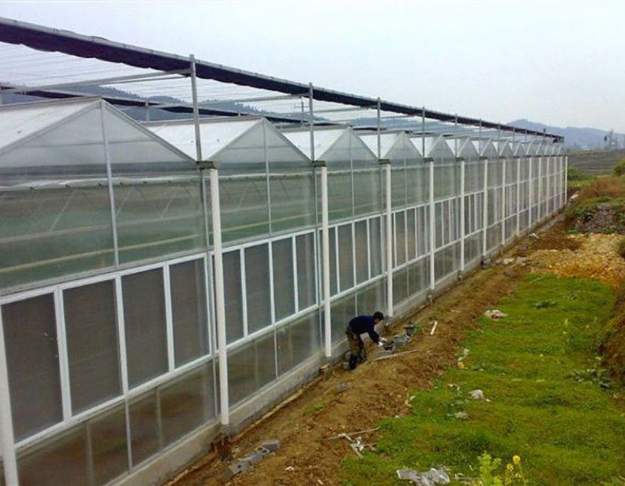 阳光板温室